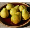 Potted Bartlett Pear Tree, European Type 2 Potted Bartlett Pear Tree, European Type -Brandt Butik bartlett pear potted