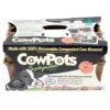 CowPots - 3" Square 6 Pack (Pack Of 3) 1 CowPots - 3" Square 6 Pack (Pack Of 3) -Brandt Butik cowpots 3 square 6 pack pack of 3