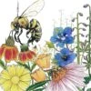 Save The Bees Wildflower Mix (1/4 Lb) 2 Save The Bees Wildflower Mix (1/4 Lb) -Brandt Butik save the bees wildflower mix 1 4 lb