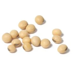 Soybeans - Raw Seed (lb) -Brandt Butik scl860 cat