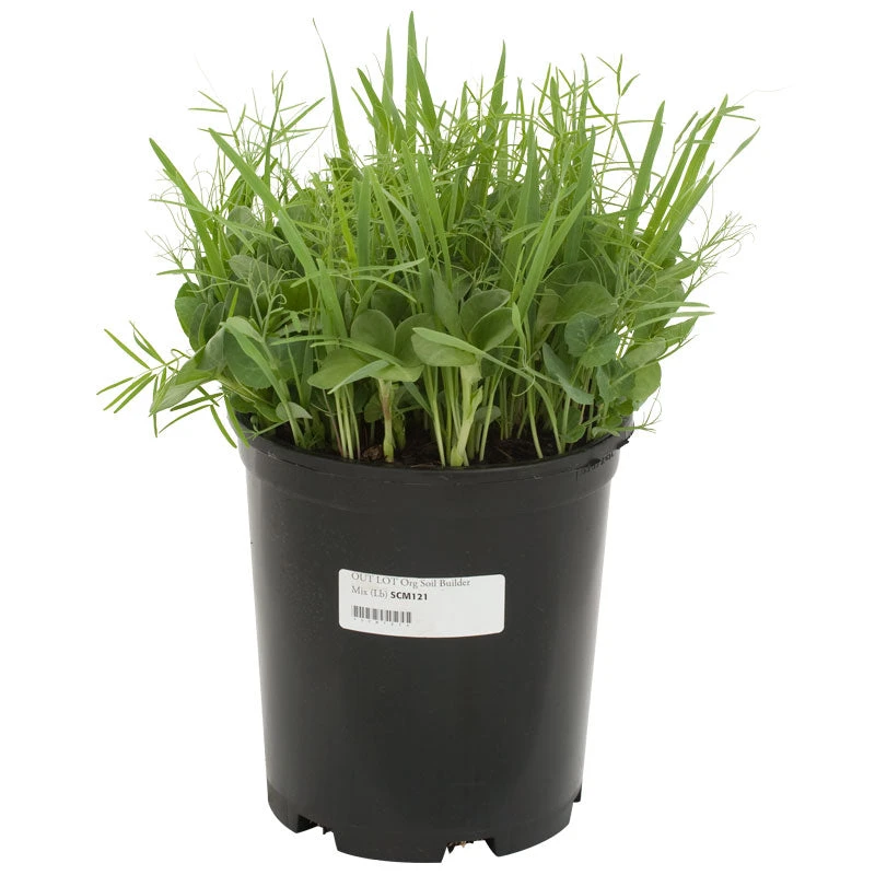 Peaceful Valley Organic Premium Soil Builder Mix - Raw Seed (lb) 4 Peaceful Valley Organic Premium Soil Builder Mix - Raw Seed (lb) - Billede 2