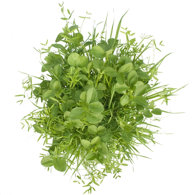 Peaceful Valley Budget Soil Builder Mix - Raw Seed (lb) 5 Peaceful Valley Budget Soil Builder Mix - Raw Seed (lb) - Billede 3