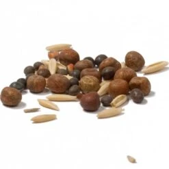 Peaceful Valley Legume Oat Mix #1 - Raw Seed (lb) -Brandt Butik scm350 cat