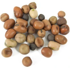 Peaceful Valley Nitro-Max Plow Down Mix Seed (lb) -Brandt Butik scm360 1