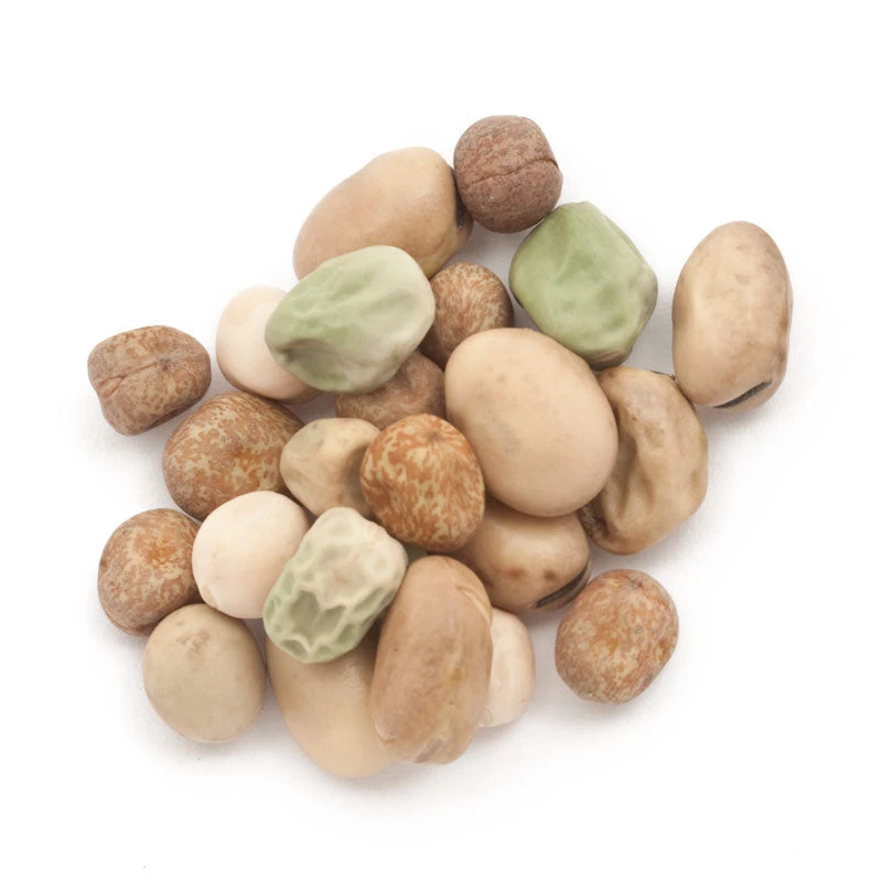 Peaceful Valley Winter Edible Cover Crop Mix - Raw Seed (lb) 6 Peaceful Valley Winter Edible Cover Crop Mix - Raw Seed (lb) - Billede 4